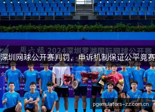 深圳网球公开赛判罚，申诉机制保证公平竞赛