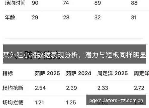某外租小将数据表现分析，潜力与短板同样明显